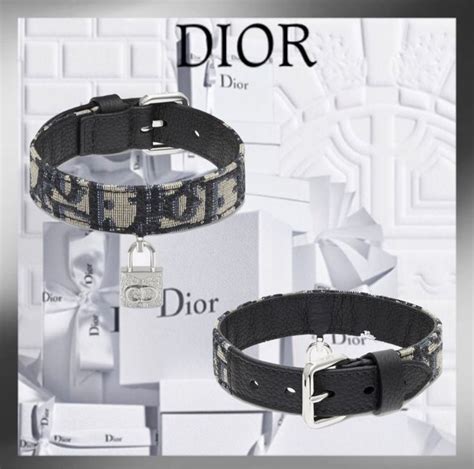 dior collar|dior earrings for dogs.